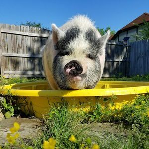 Meet your Posher, Jessica